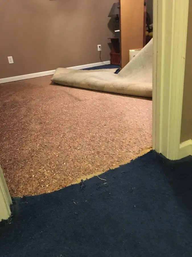 Carpet pad removal revealing water damage during Drying & Dehumidification in Eastchester